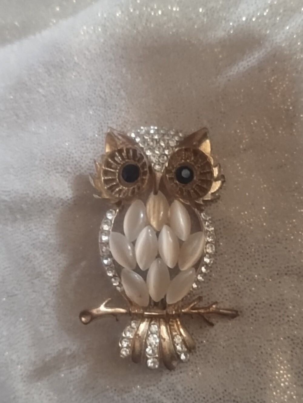 Gold-Tone Owl Brooch with White Accents And Claire's Gold Tone Teardrop Dangle